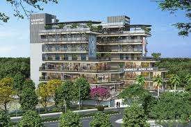 local business in greater noida